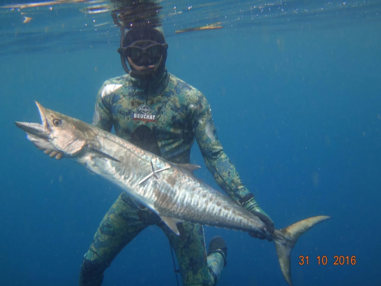 spearfishing